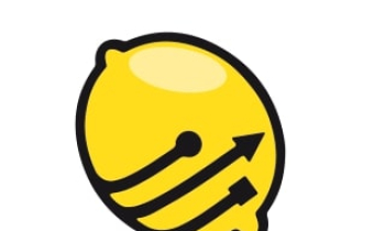 Lemon Pro: profesjonalne usługi IT dla firm