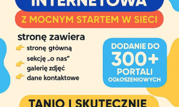 Tania strona internetowa z mocnym startem w sieci