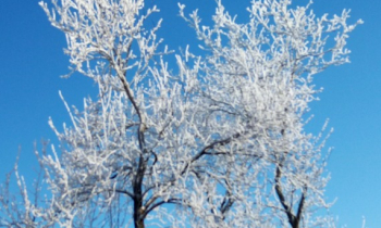 Najlepsze gry online